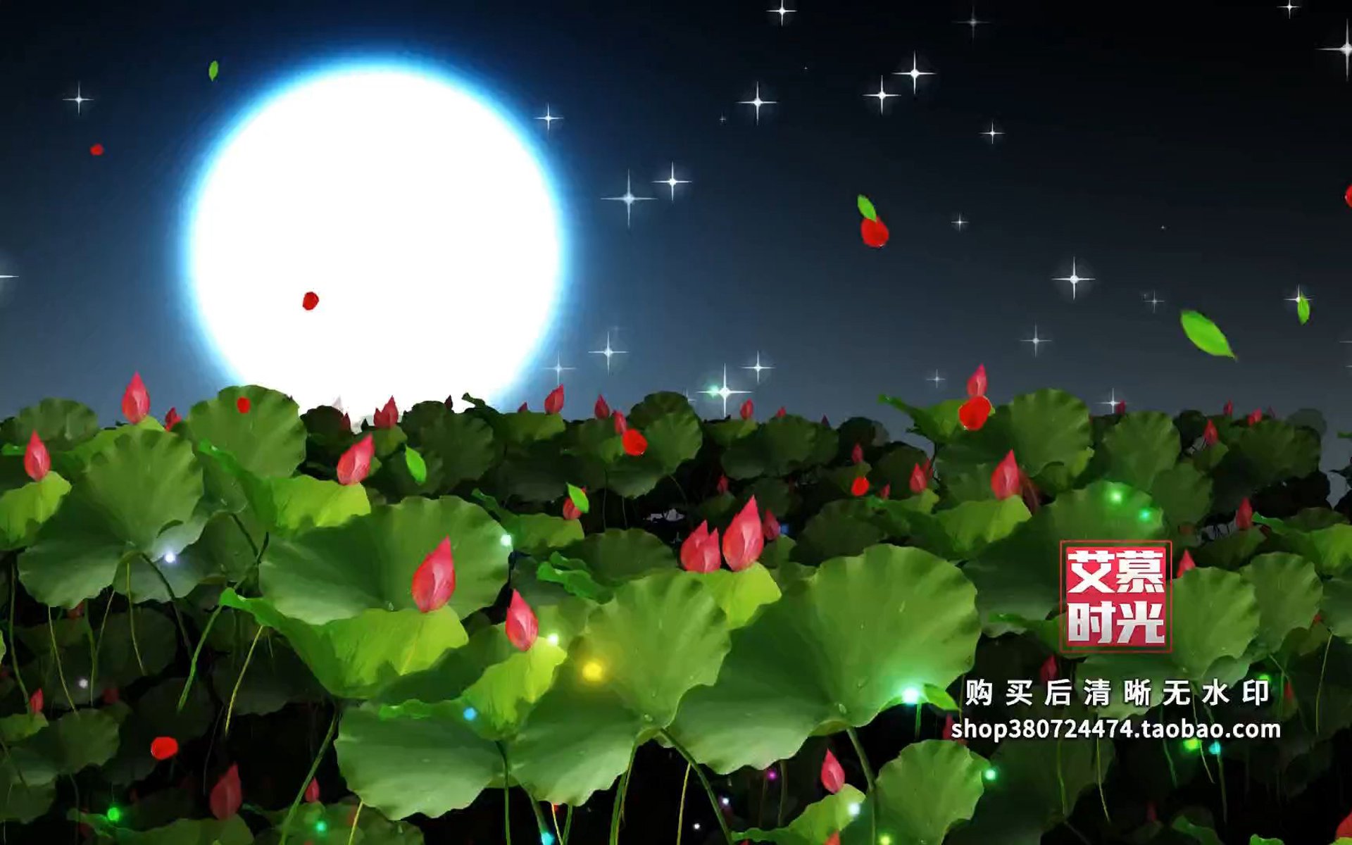 秀峰舞蹈艺术